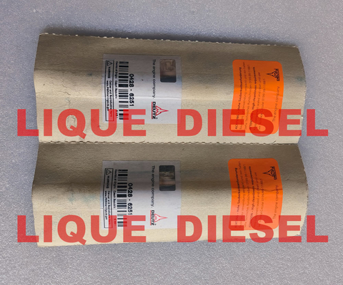 DEUTZ Common rail injector 04286251 0428-6251 0428 6251 4286251 428 6251 supplier