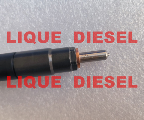 33800-4A710 28229873 DELPHI Common Rail fuel injector 33800-4A710 28229873 for HYUNDA KIA 33800 4A710 338004A710 supplier