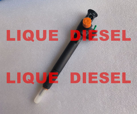 DELPHI Common Rail Injector 28602948 9674984080 28388960 D57Q-9F-893-BB D57Q9F893BB supplier