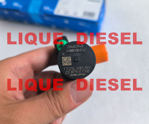 DELPHI Common Rail Injector 28602948 9674984080 28388960 D57Q-9F-893-BB D57Q9F893BB supplier
