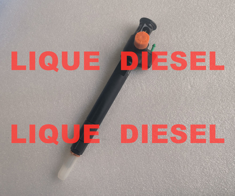 DELPHI Common Rail Injector 28602948 9674984080 28388960 D57Q-9F-893-BB D57Q9F893BB supplier