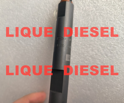 DELPHI Fuel Injector B05501A LJBB05501A 320-06837 32006837 320 06837 5501A supplier