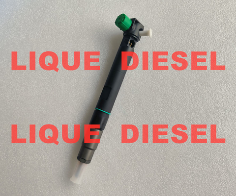 DELPHI common rail injector 28347042 for DOOSAN 400903-00043E 40090300043E 400903 00043E supplier