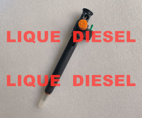 DELPHI Common Rail Injector 28602948 9674984080 28388960 D57Q-9F-893-BB D57Q9F893BB supplier