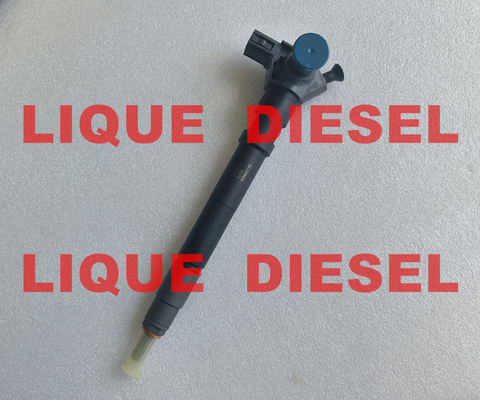 DENSO Common Rail Injector 295700-0290 33800-4A950 2957000290 338004A950 for HYUNDAI D4CB VGT Euro 6 DENSO 0290 supplier