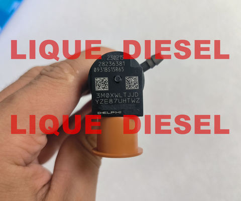 DELPHI Common rail injector 28236381 33800-4A700 338004A700 for HYUNDAI Starex 33800 4A700 supplier