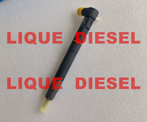 DELPHI fuel injector 28387604 6730170021 A6730170021 for SSANGYONG Tivoli original OE A 673 017 00 21 supplier