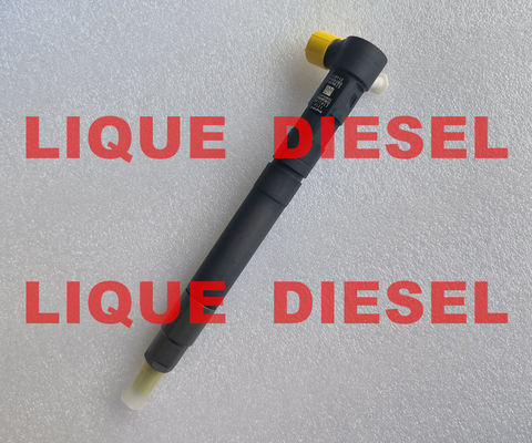 DELPHI EMBR00301D Common rail injector R00301D 6710170121 A6710170121 for SSANGYONG Korando supplier
