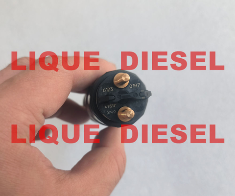 BOSCH 0445120197 51101006123 Fuel Injector Assembly 0 445 120 197 51101006123 For MAN supplier