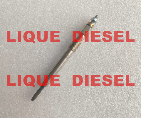 BOSCH Glow plug 0250202136 3770100-E06 0 250 202 136 3770100E06 for Great Wall 2.8TC supplier