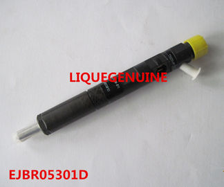 DELPHI Common Rail injector EJBR05301D , R05301D for YUCHAI F50001112100011 supplier