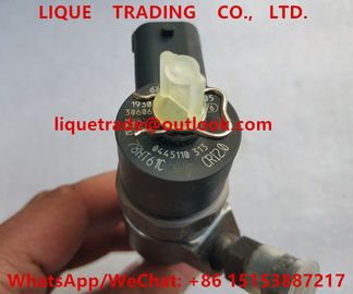 BOSCH Common Rail injector 0445110313 , 0 445 110 313 , 0445 110 313 , 445110313 supplier