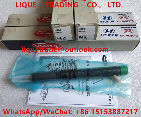 DELPHI Fuel Injector EJBR03001D / R03001D / 33800-4X900 / 33801-4X900 for KIA EJBR02501Z supplier