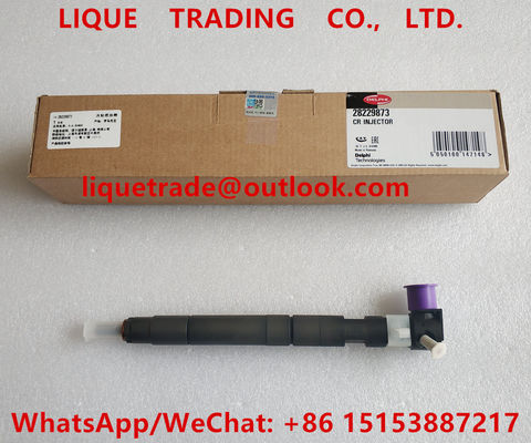 DELPHI 28229873 / 33800-4A710 Common rail injector 28229873 / 33800-4A710 / 338004A710 for HYUNDA KIA supplier