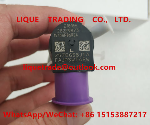 DELPHI Common rail injector 28229873 , 33800-4A710 , 338004A710 for HYUNDA KIA supplier
