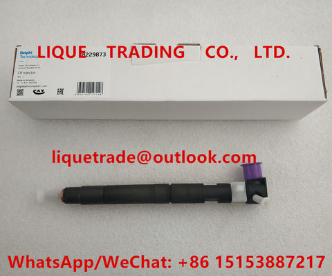 DELPHI Common rail injector 28229873 , 33800-4A710 , 338004A710 for HYUNDA KIA supplier
