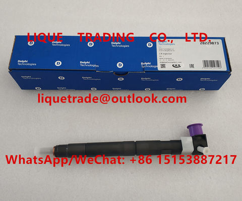 DELPHI Common rail injector 28229873 , 33800-4A710 , 338004A710 , 33800 4A710 for HYUNDA KIA supplier