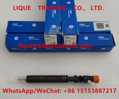 DELPHI Common Rail Injector EJBR03701D , EJBR02901D , R03701D for HYUNDAI &amp; KIA 338014X810, 338004X800 supplier