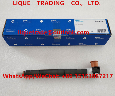 DELPHI Common rail injector 28236381 for HYUNDAI KIA 33800-4A700 , 338004A700 supplier