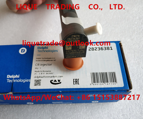 DELPHI Common rail injector 28236381 for HYUNDAI KIA 33800-4A700 , 338004A700 supplier