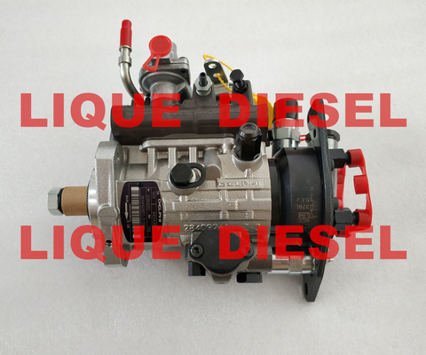 DELPHI/PERKINS DP210 PUMP 9320A390G / 9320A391G / 9320A392G / 9320A396G / 9320A399G / 2644H029 supplier