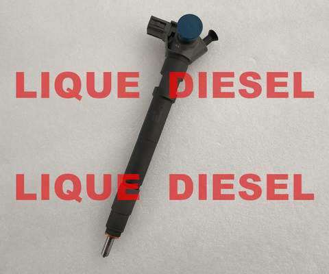 DENSO 0290 Fuel Injector 295700-0290 , 33800-4A950 , 2957000290 , 338004A950 , 33800 4A950 for HYUNDAI D4CB VGT Euro 6 supplier